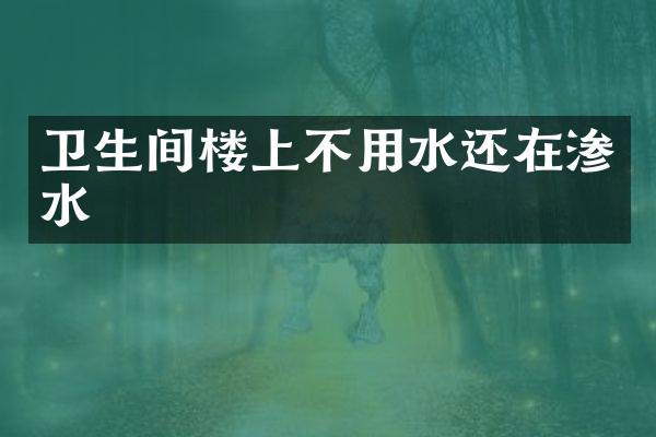 卫生间楼上不用水还在渗水