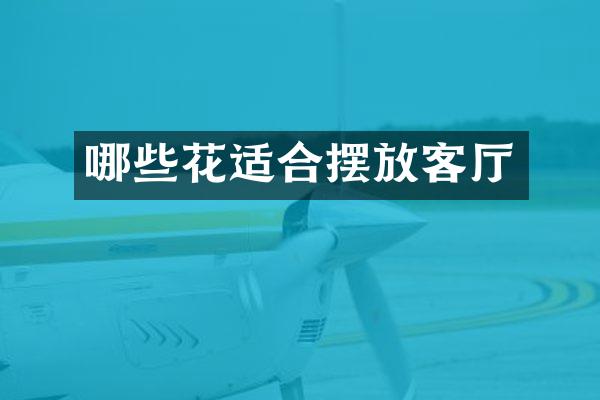哪些花适合摆放客厅