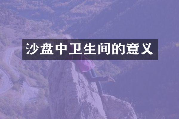 沙盘中卫生间的意义