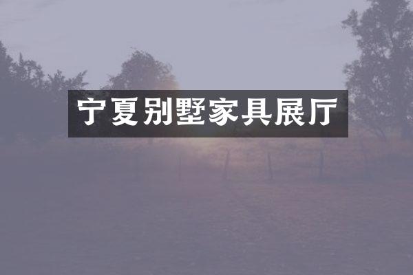 宁夏别墅家具展厅