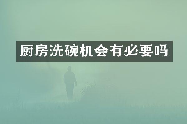 厨房洗碗机会有必要吗