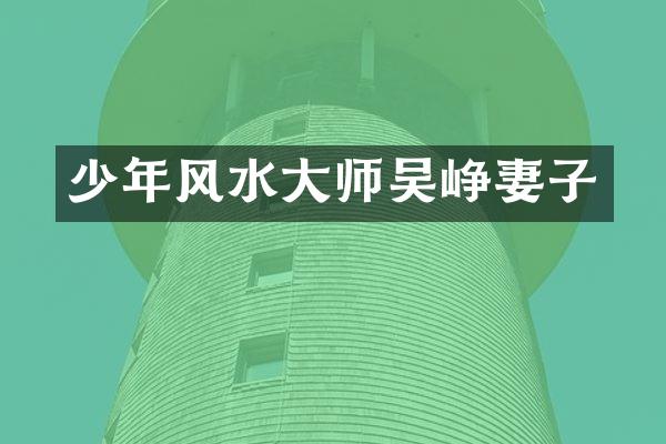 少年风水大师吴峥妻子