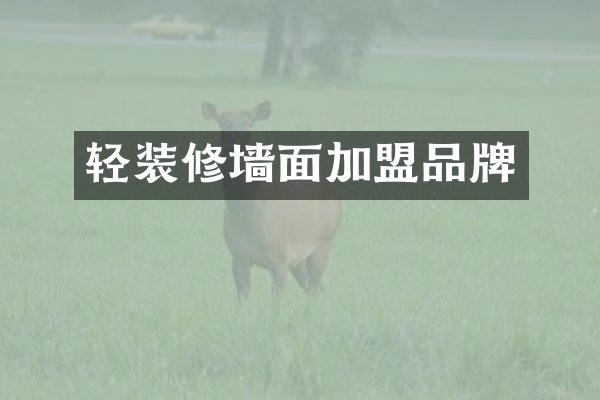 轻装修墙面加盟品牌
