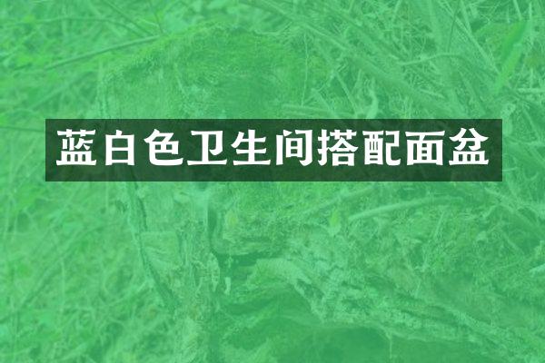 蓝白色卫生间搭配面盆