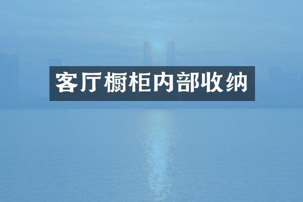 客厅橱柜内部收纳