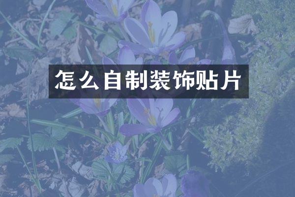 怎么自制装饰贴片