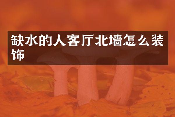 缺水的人客厅北墙怎么装饰