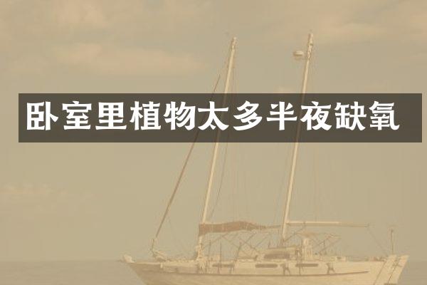 卧室里植物太多半夜缺氧
