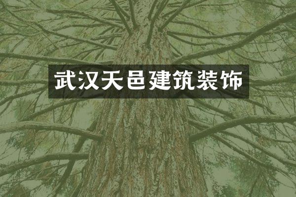 武汉天邑建筑装饰