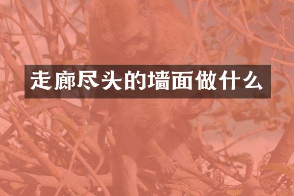 走廊尽头的墙面做什么