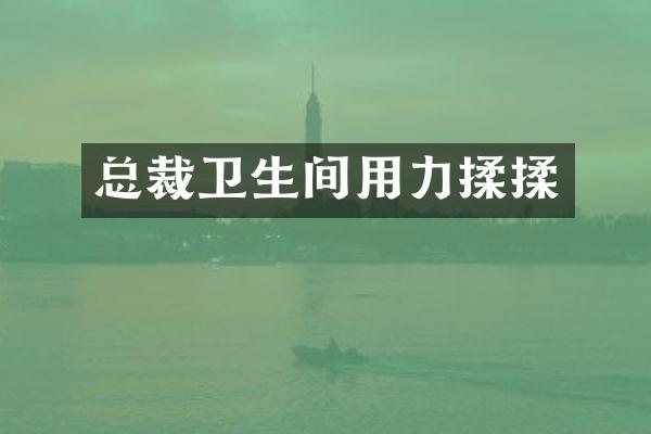 总裁卫生间用力揉揉