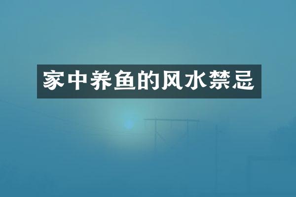 家中养鱼的风水禁忌