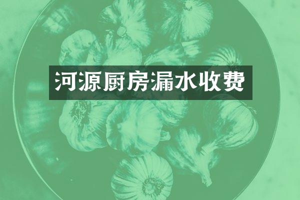 河源厨房漏水收费