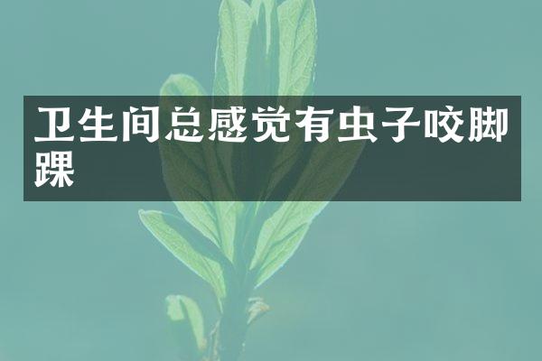 卫生间总感觉有虫子咬脚踝