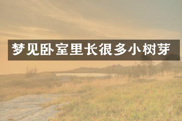 梦见卧室里长很多小树芽