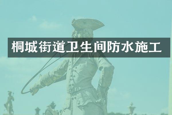 桐城街道卫生间防水施工