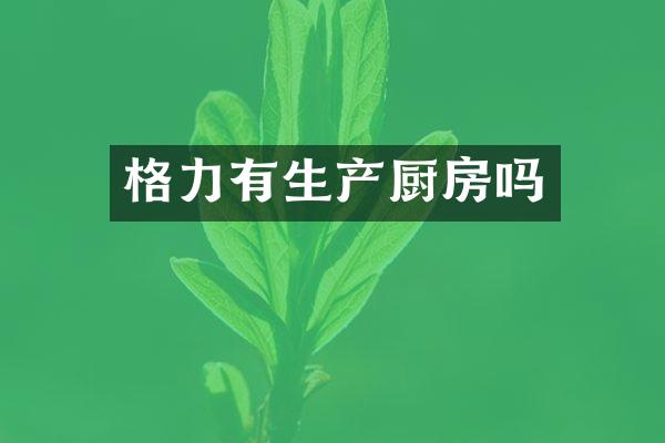 格力有生产厨房吗