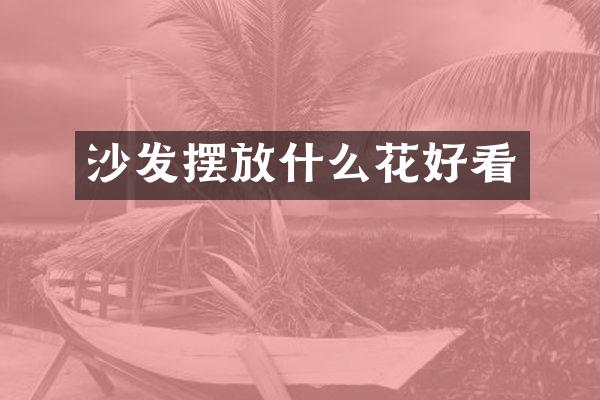 沙发摆放什么花好看