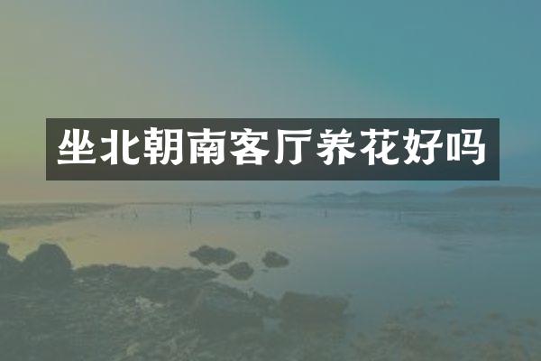 坐北朝南客厅养花好吗
