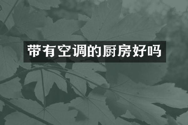 带有空调的厨房好吗