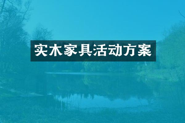 实木家具活动方案