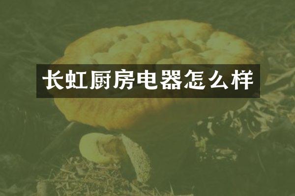 长虹厨房电器怎么样