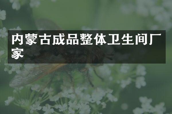 内蒙古成品整体卫生间厂家