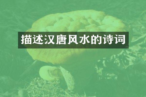 描述汉唐风水的诗词