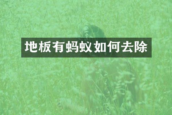 地板有蚂蚁如何去除