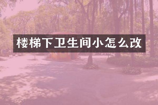 楼梯下卫生间小怎么改
