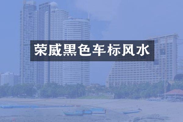 荣威黑色车标风水