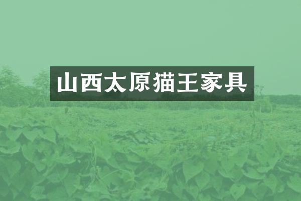 山西太原猫王家具