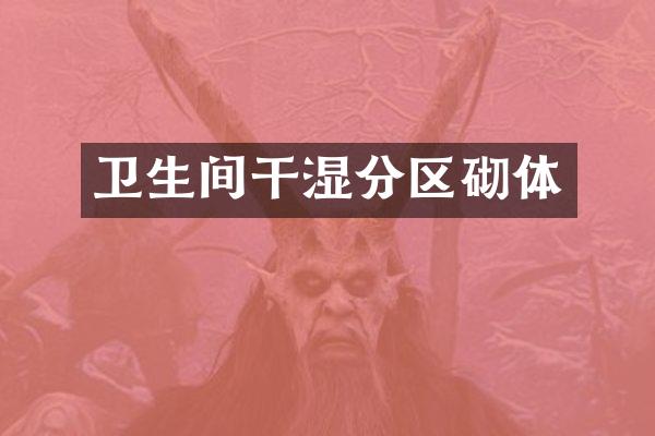 卫生间干湿分区砌体