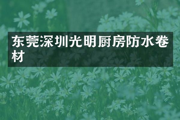 东莞深圳光明厨房防水卷材