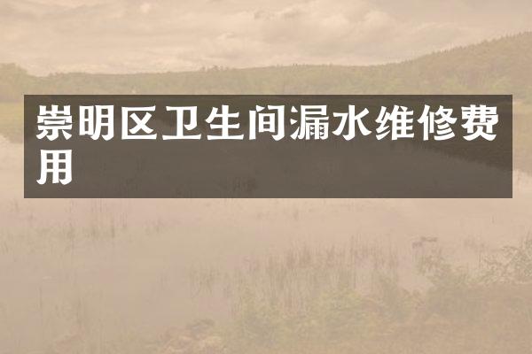 崇明区卫生间漏水维修费用