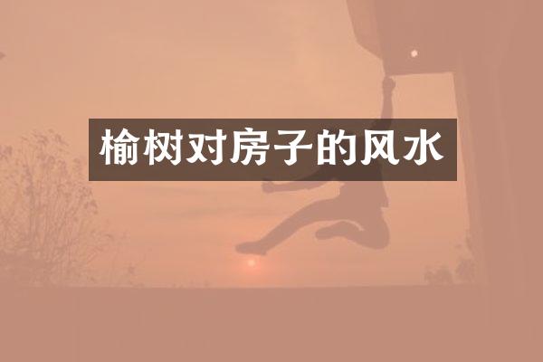 榆树对房子的风水