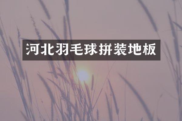 河北羽毛球拼装地板
