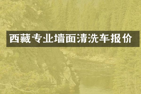 西藏专业墙面清洗车报价