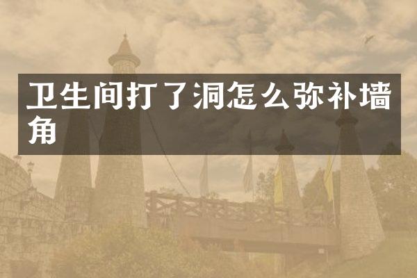 卫生间打了洞怎么弥补墙角