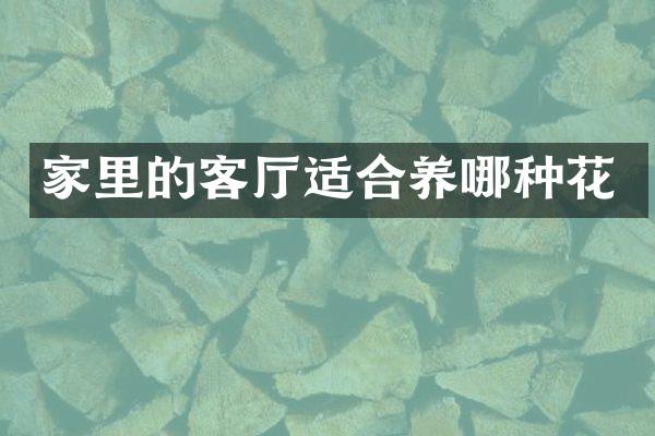 家里的客厅适合养哪种花
