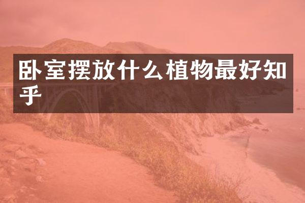 卧室摆放什么植物最好知乎