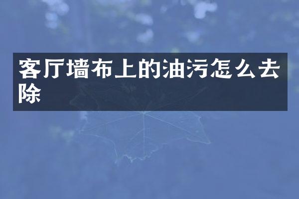 客厅墙布上的油污怎么去除