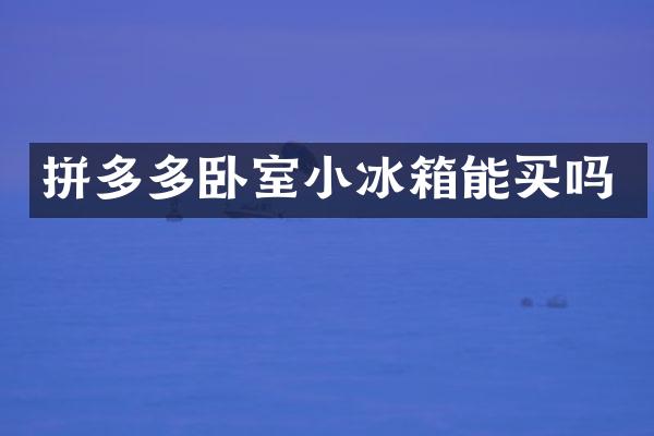 拼多多卧室小冰箱能买吗