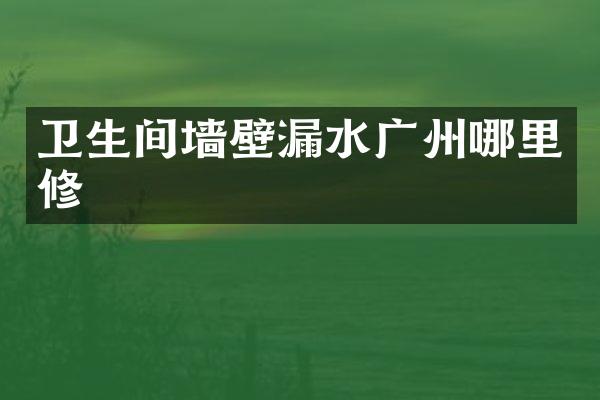 卫生间墙壁漏水广州哪里修