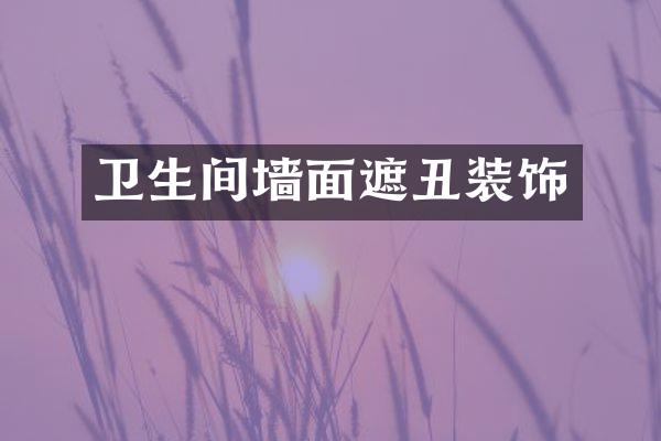 卫生间墙面遮丑装饰
