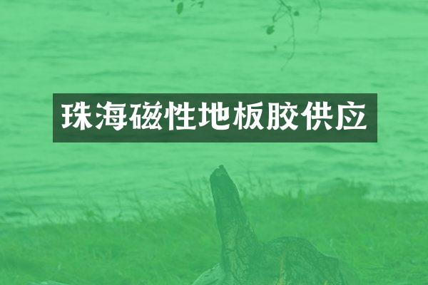 珠海磁性地板胶供应