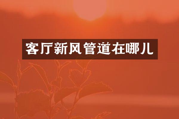 客厅新风管道在哪儿