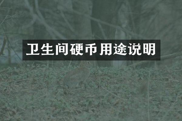 卫生间硬币用途说明