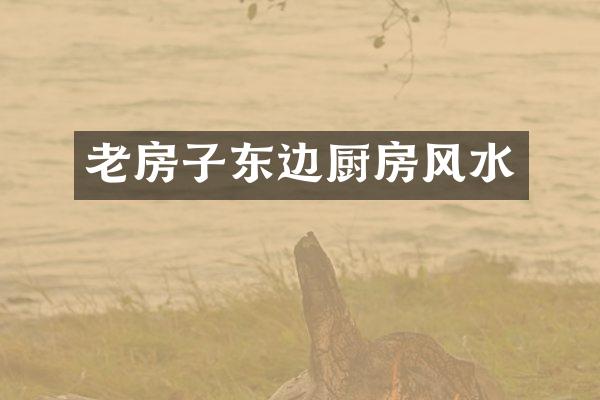 老房子东边厨房风水