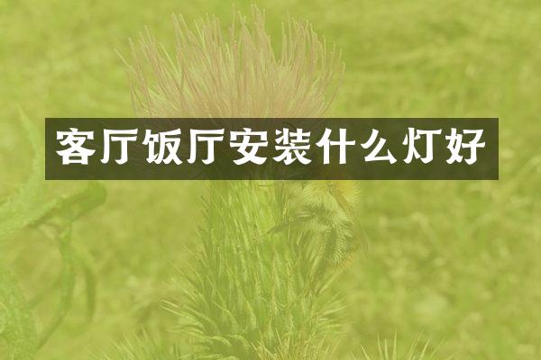 客厅饭厅安装什么灯好